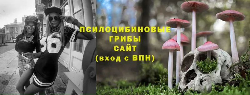 ссылка на мегу зеркало  Кирс  Псилоцибиновые грибы Magic Shrooms 